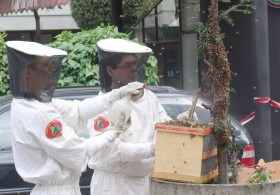 Diversi - Corpo civici pompieri Lugano